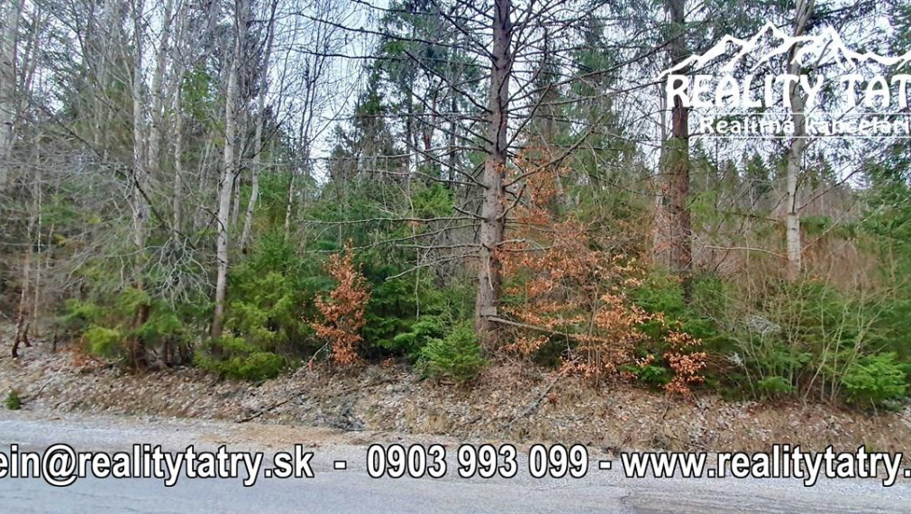 Rekreačný pozemok v lokalite Zahájnica 2700 m2 - Pekné tiché prostredie v lese - ODPORÚČAME !!!