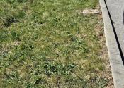 Stavebný pozemok 900 m2 - Veľká Lomnica, všetky IS, TOP VÝHĽAD !!! - fotografia 15